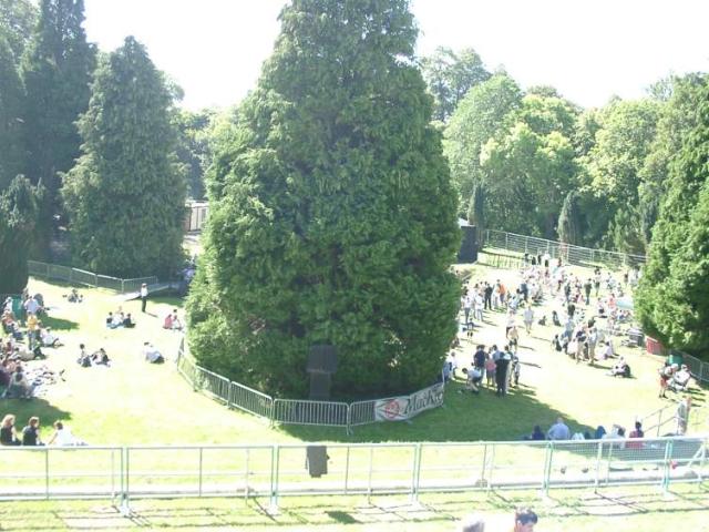 08140010.JPG
