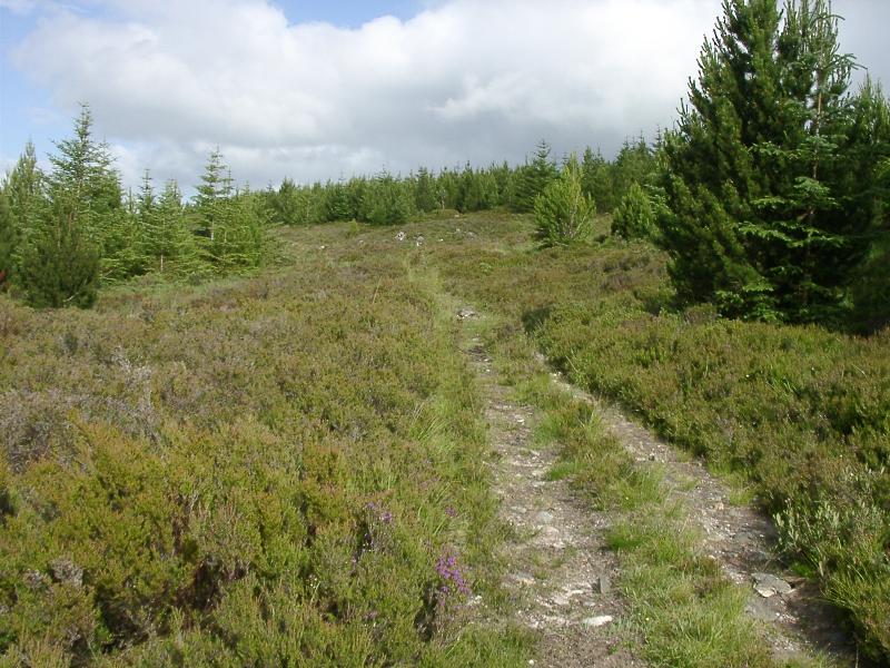 heading up, out of Glen Moriston