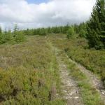 heading up, out of Glen Moriston