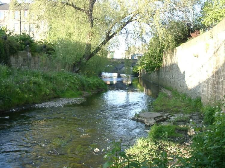 the river