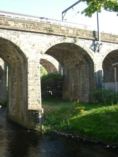 Train over the Water