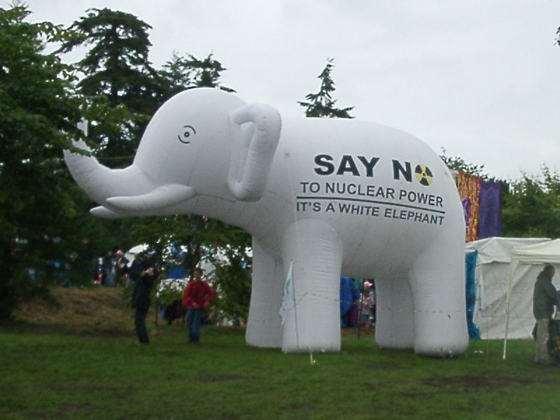 a big white elephant