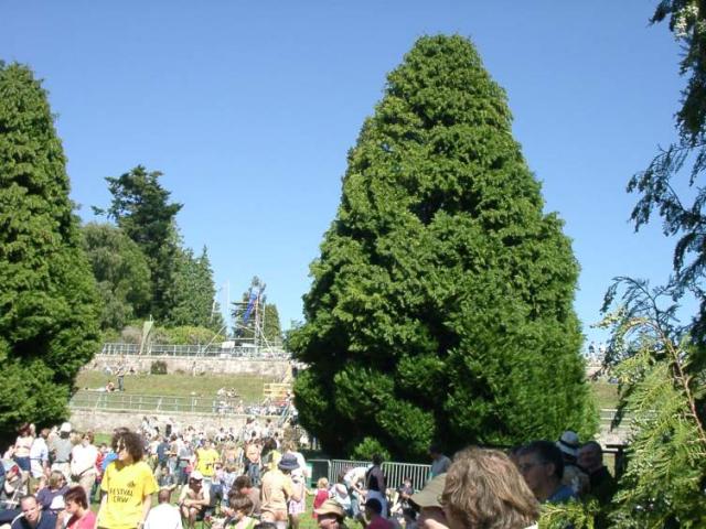 08140003.JPG